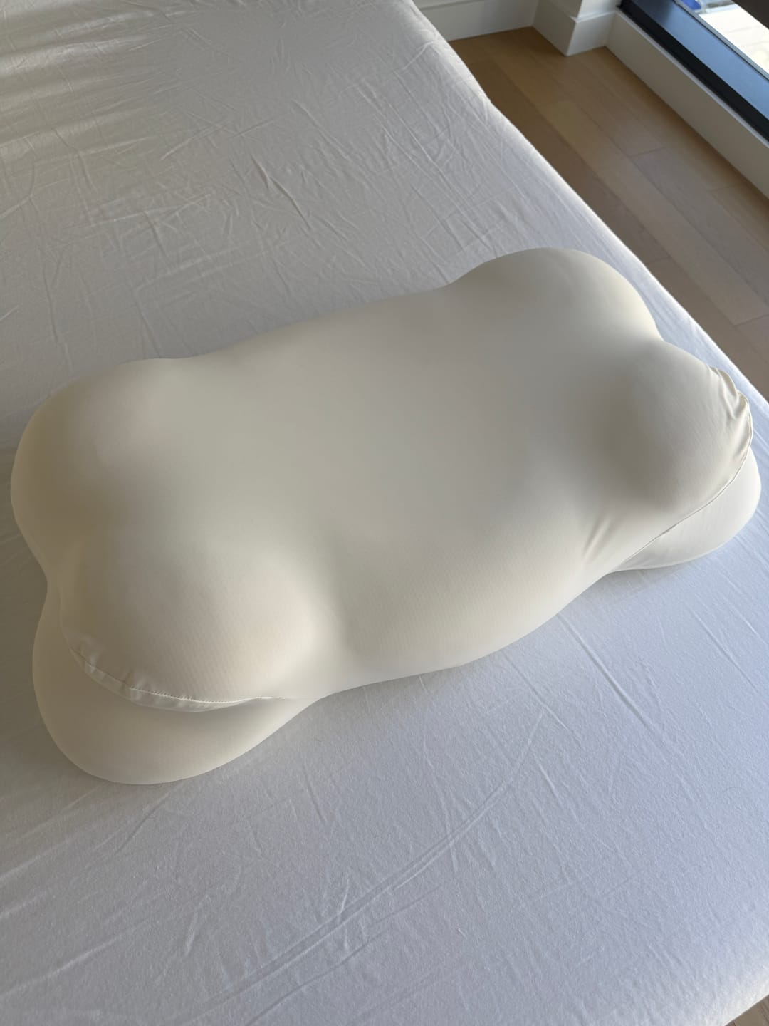 CloudTek Pillow